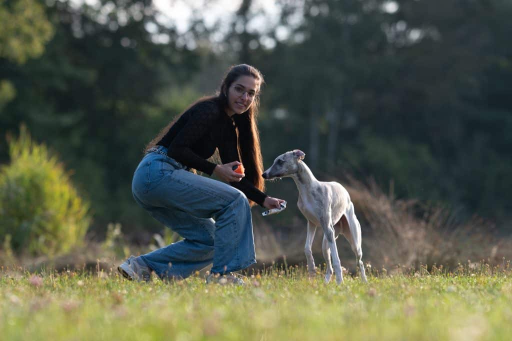 Frau mit Whippet spielt Ball bei einem Fotoshooting mit Hund