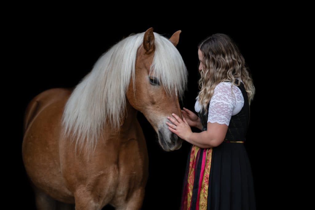 Haflinger Stute und Frau mit Dirndl vor schwarzem Hintergrund