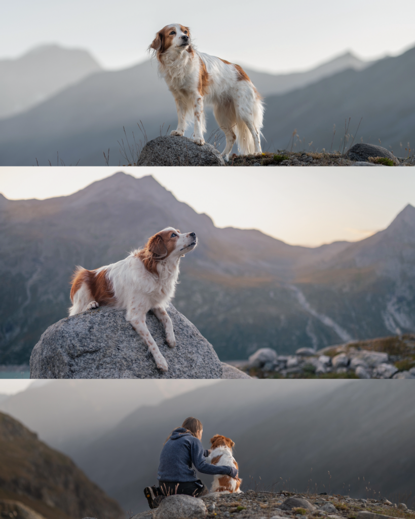 Hund und Mensch während einer Storytelling-Foto­reportage in alpiner Berglandschaft – natürlicher Moment bei Sonnenaufgang.