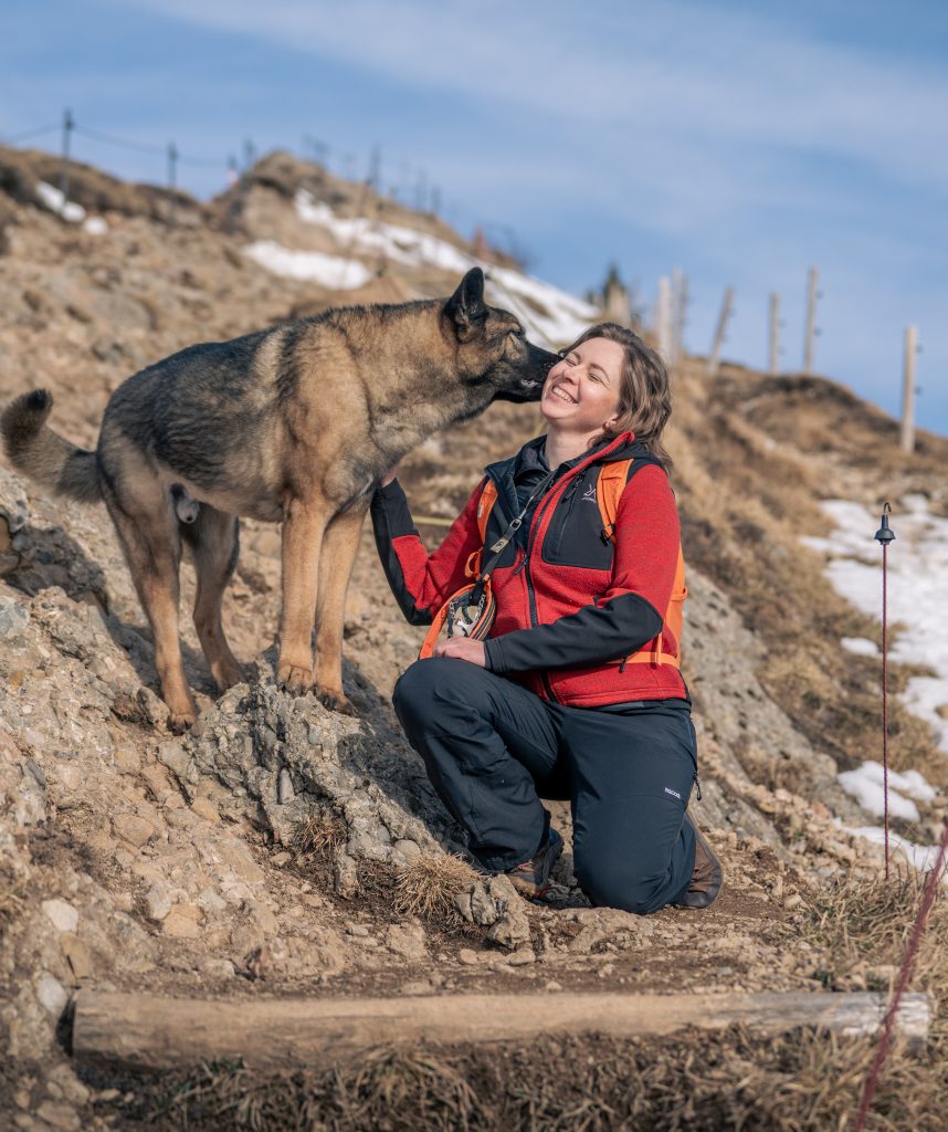 Hund steht auf felsigem Hang und berührt das Gesicht einer Person beim Wandern mit Hund in alpiner Landschaft