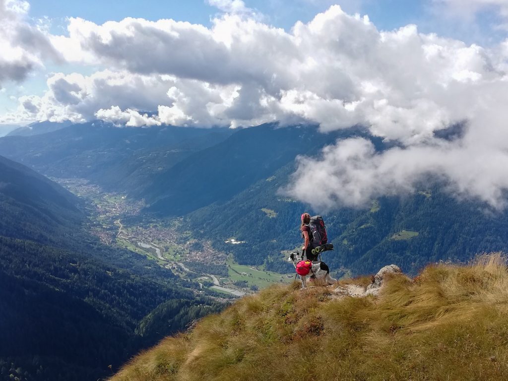 Wanderin mit Hund über dem Tal bei Madonna di Campiglio im Trentino beim Weitwandern in den Alpen